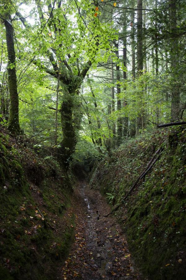 La Colline Des Renards Chambres Locmaria-Berrien Kültér fotó